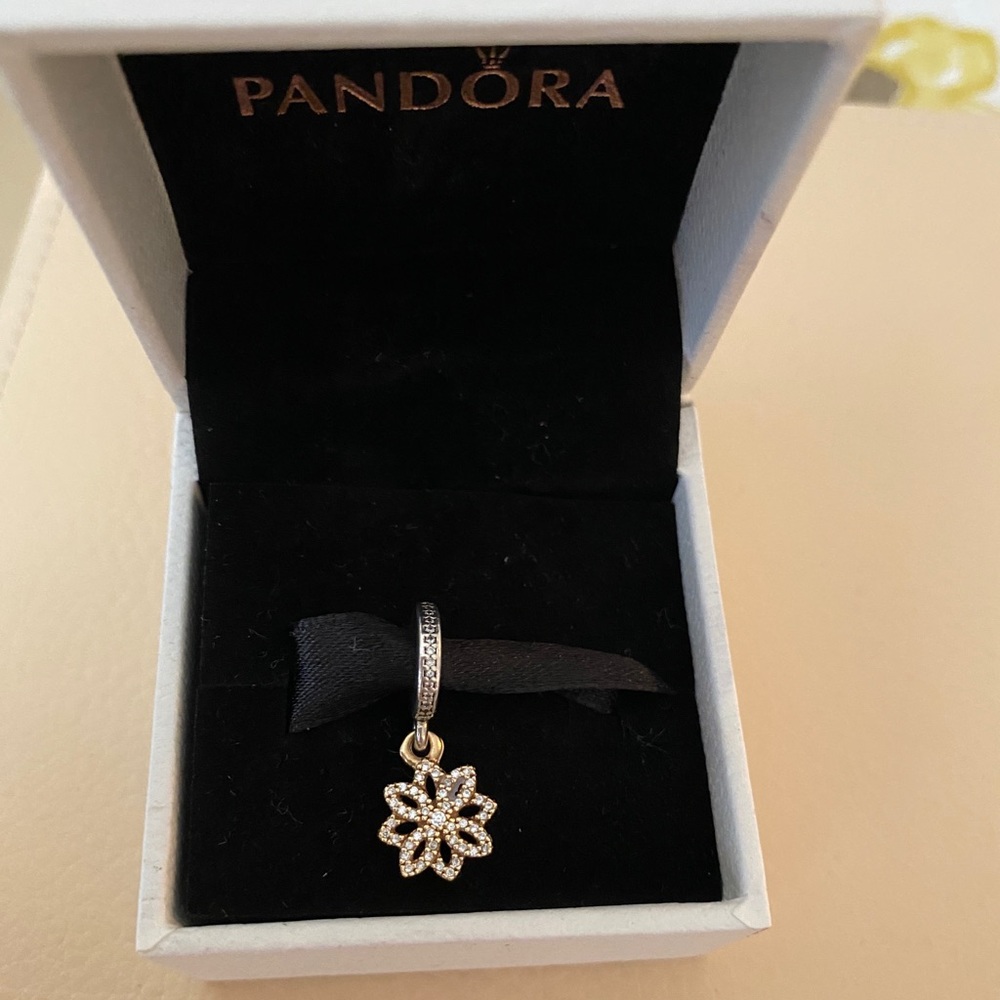 Authentic Pandora charm